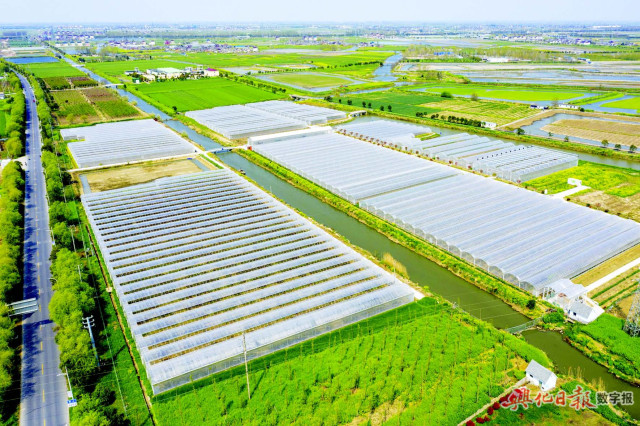 兴东现代农业园区建设涌春潮-兴化新闻网