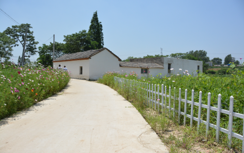 岗集镇召开三线三边"大清理,大整治,大练兵"动员大会