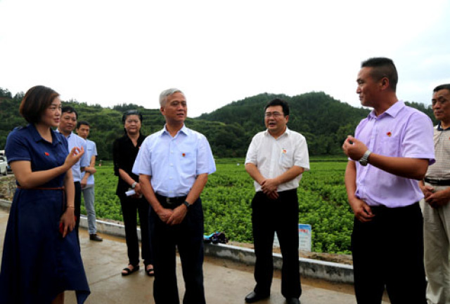 8月16日,杨伟东一行首先来到黄沙镇,征村乡,漫江乡考察调研.